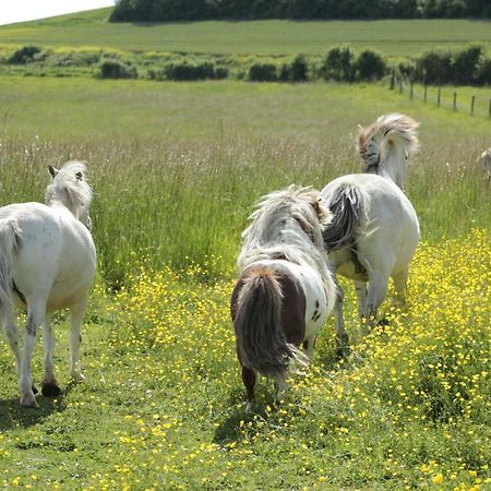 شقة Courdemanges  في Ferme Du Mont Moret المظهر الخارجي الصورة